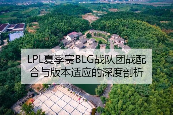 LPL夏季赛BLG战队团战配合与版本适应的深度剖析