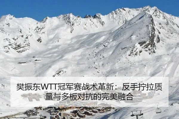 樊振东WTT冠军赛战术革新：反手拧拉质量与多板对抗的完美融合